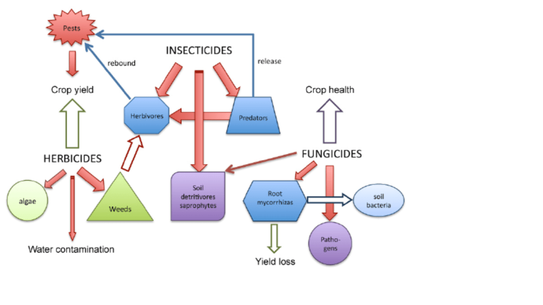 Screen Shot 2018-07-19 at 11.16.14 am